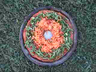 pizza_on_grass